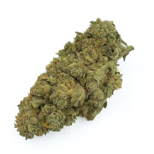 Gelato - Cannabis CBD - La Verte Shop