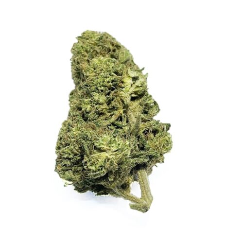 Zure Tsunami - Legale CBD-cannabis