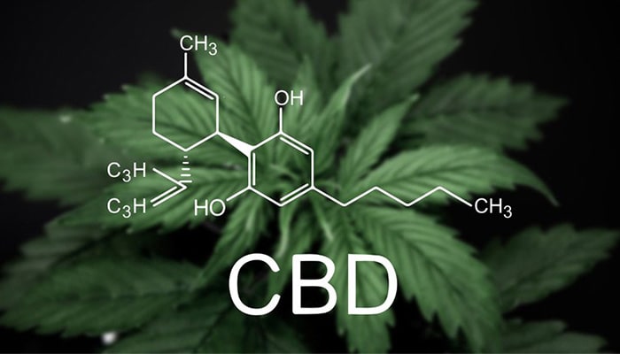 Can you drive after consuming CBD?