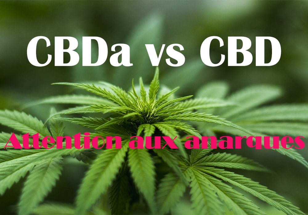 CBDa vs CBD - Attention aux arnaques