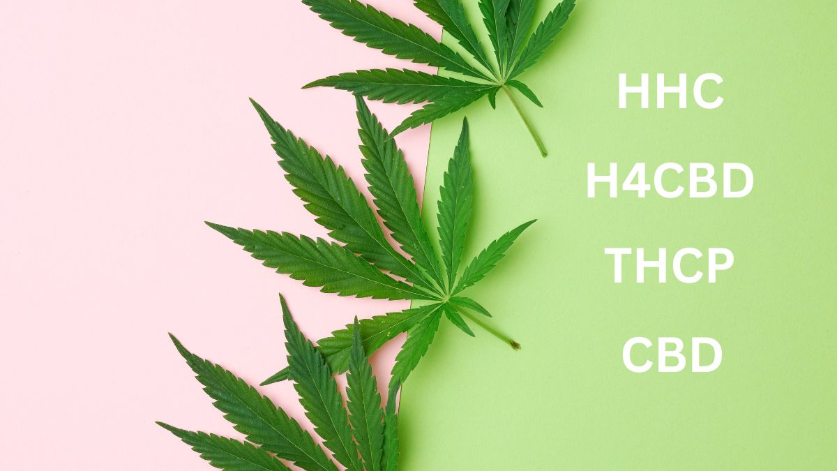 H4CBD, THCP, Etc ... What New Terms Are Springing Up In The CBD World ...