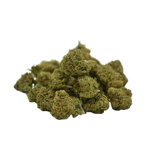 blueberry muffin mini buds indoor