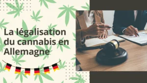 The legalisation of cannabis in Germany