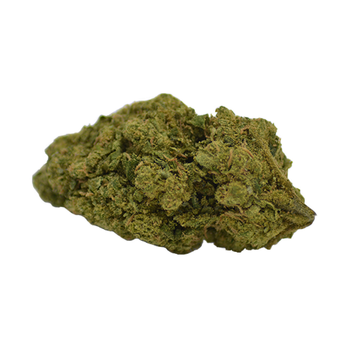 Mango Haze Indoor