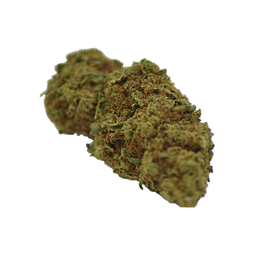 lemon skunk indoor