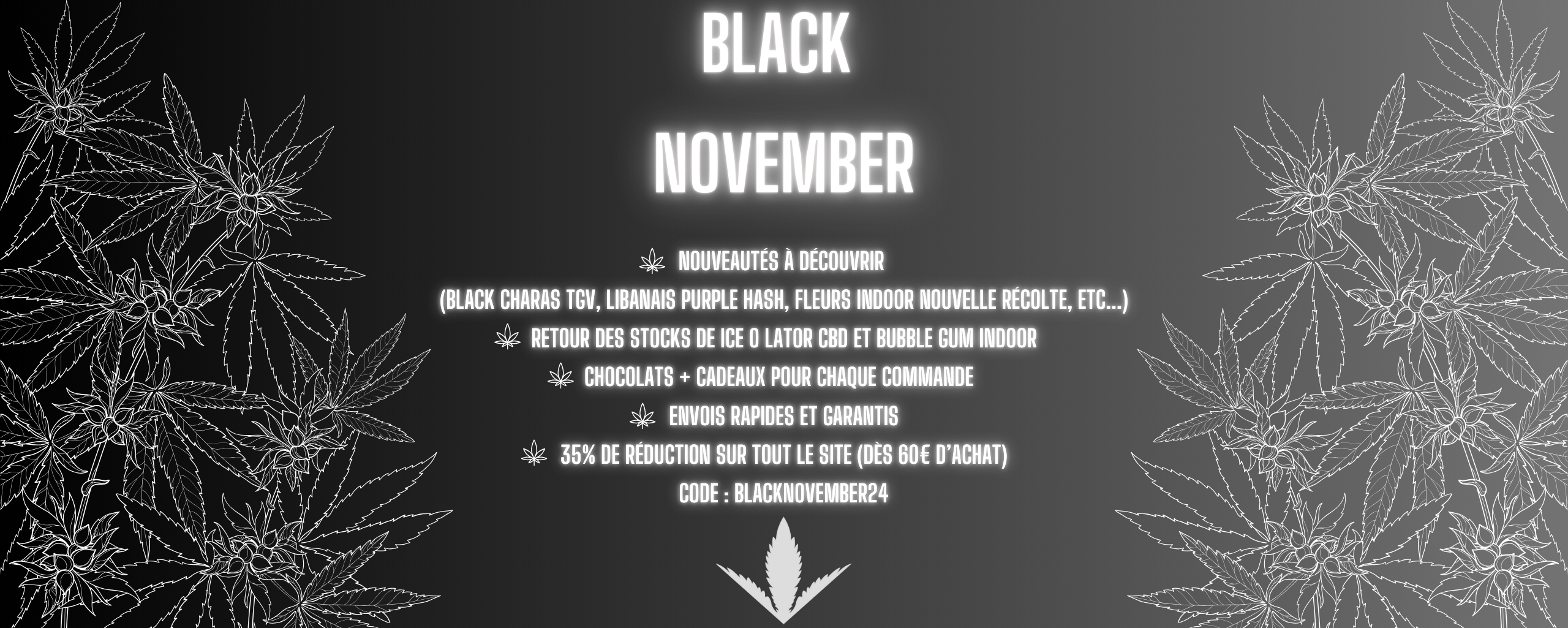 promo black november