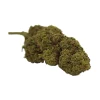 silver haze indoor CPM